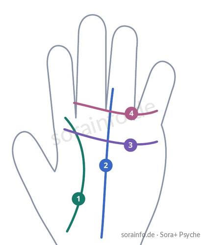Zeichnung einer Handfläche mit Lebenslinie, Schicksalslinie, Kopflinie und Herzlinie
